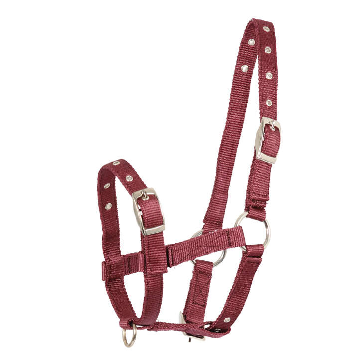 KANTRIE Fohlen-Halfter Triple